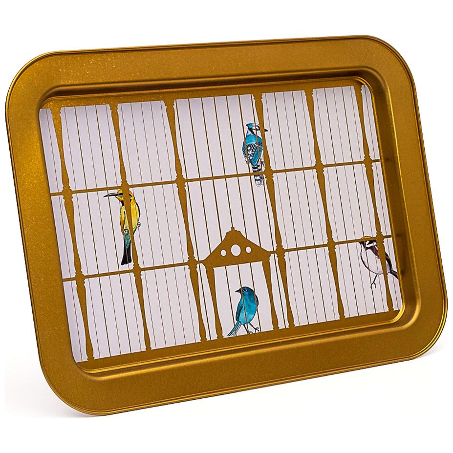 310x430 mm Metal Rectangular Tray Vintage Birdcage Illustration with Colorful Birds
