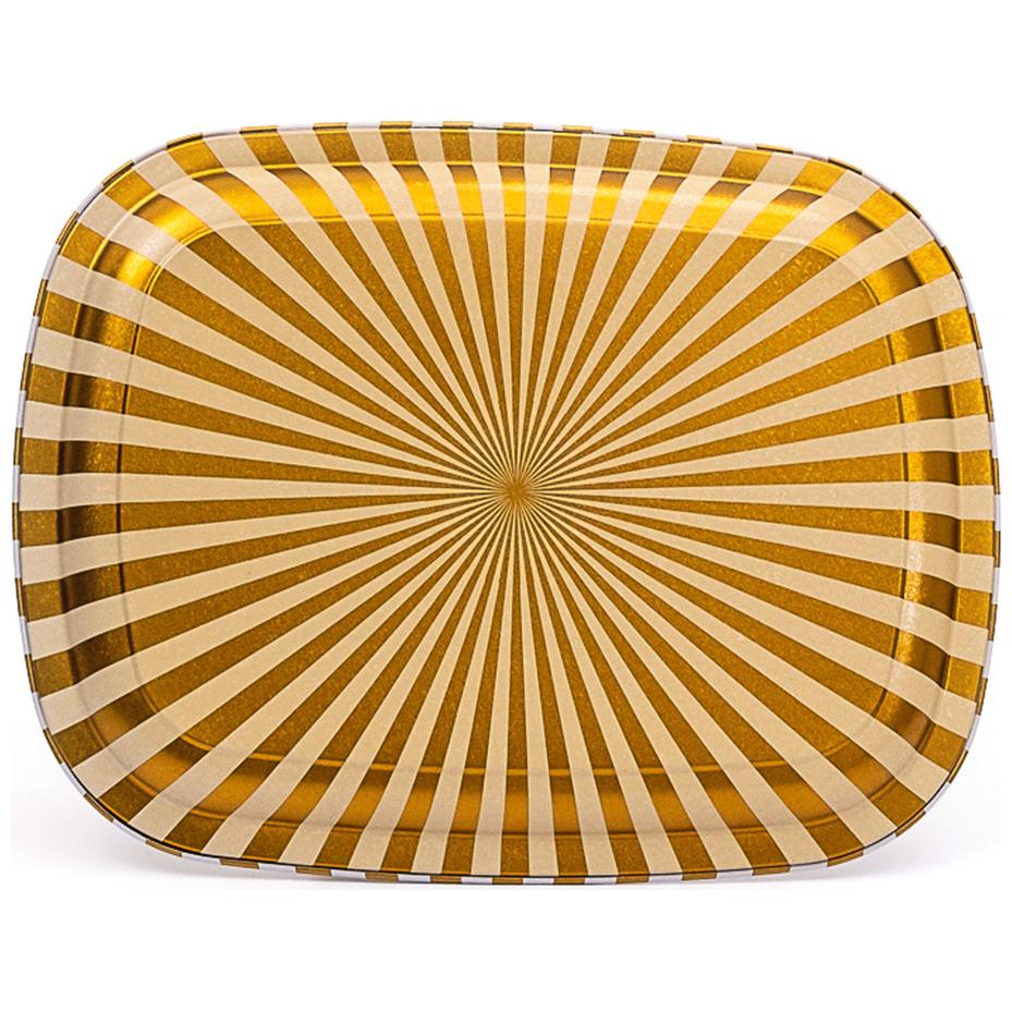 235 x 305 mm Metal Rectangular Tray Vintage Birdcage Illustration with Colorful Birds