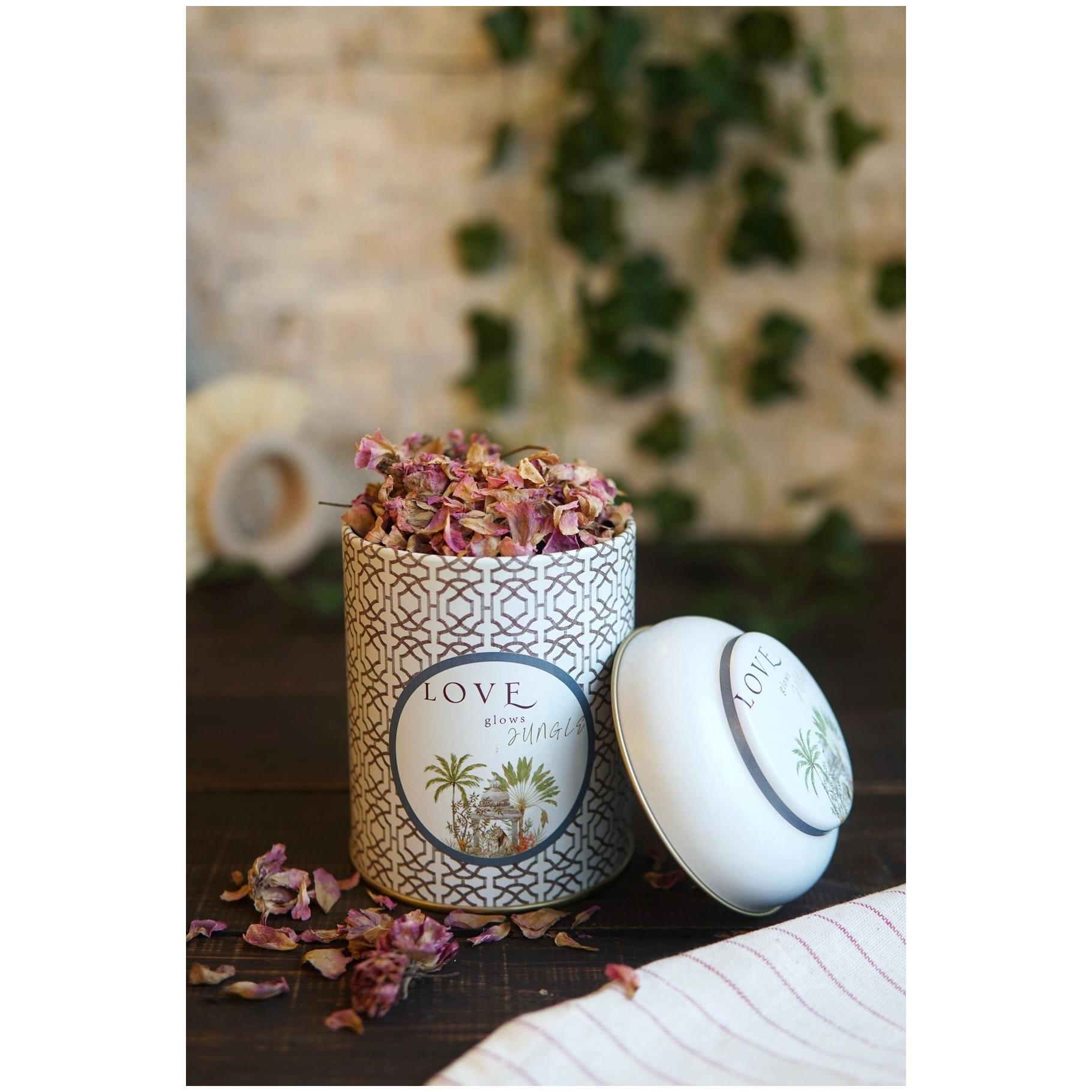 Ø90 x 110 mm  Round Metal Tin – 0.6L with Dome Lid Tropical Jungle – A Lush Paradise of Nature &amp; Wildlife