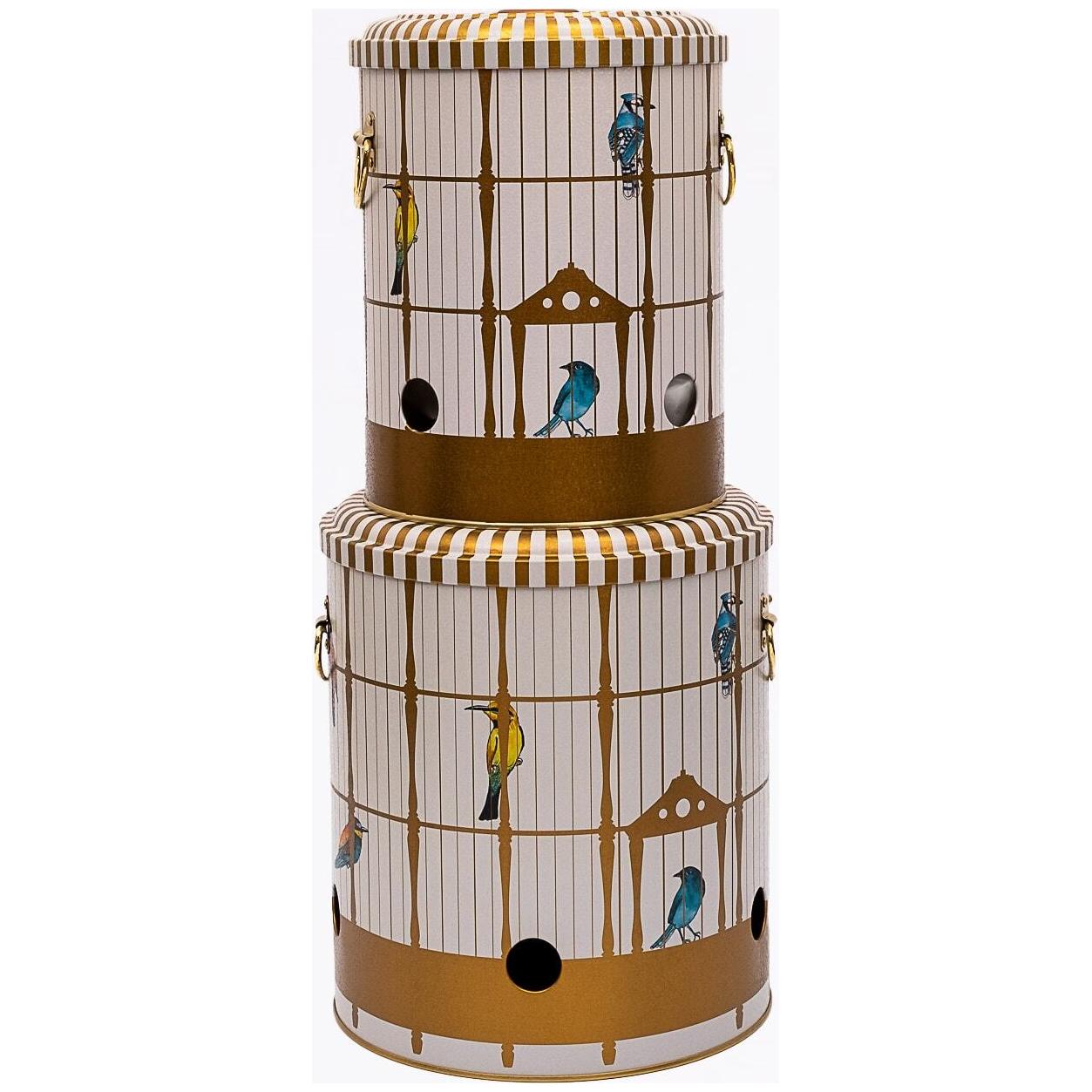 Metal Potato &amp; Onion Storage Bin Set Ø225x240 mm   ( 2 Pcs ) Vintage Birdcage Illustration with Colorful Birds Bird Cage Design