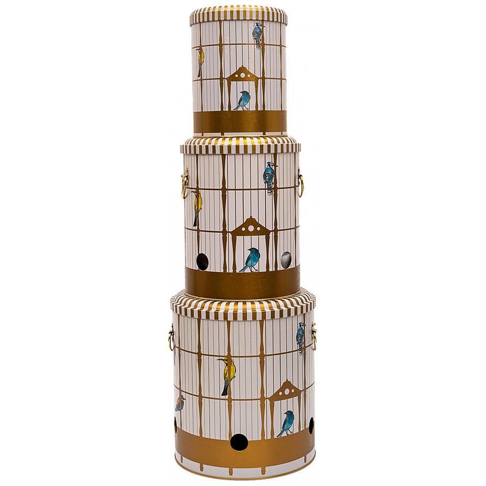 Triple Metal Bin Set for Potato Onion and Garlic (3 Pcs) Vintage Birdcage Illustration with Colorful Birds Bird Cage Design