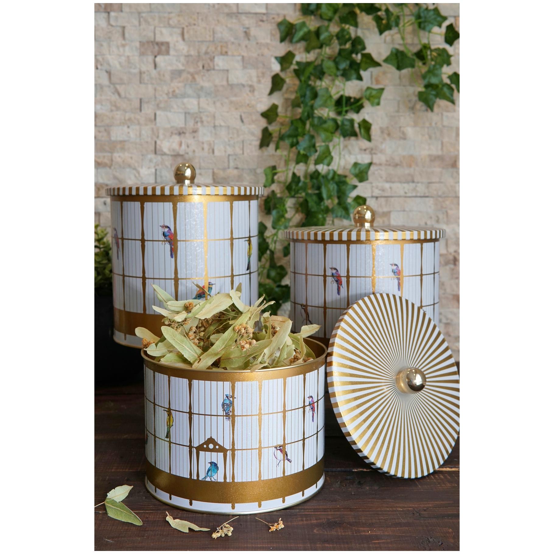  Round Metal Tin Canister Set Ø175 mm ( 3Pcs)  Vintage Birdcage Illustration with Colorful Birds Bird Cage Design