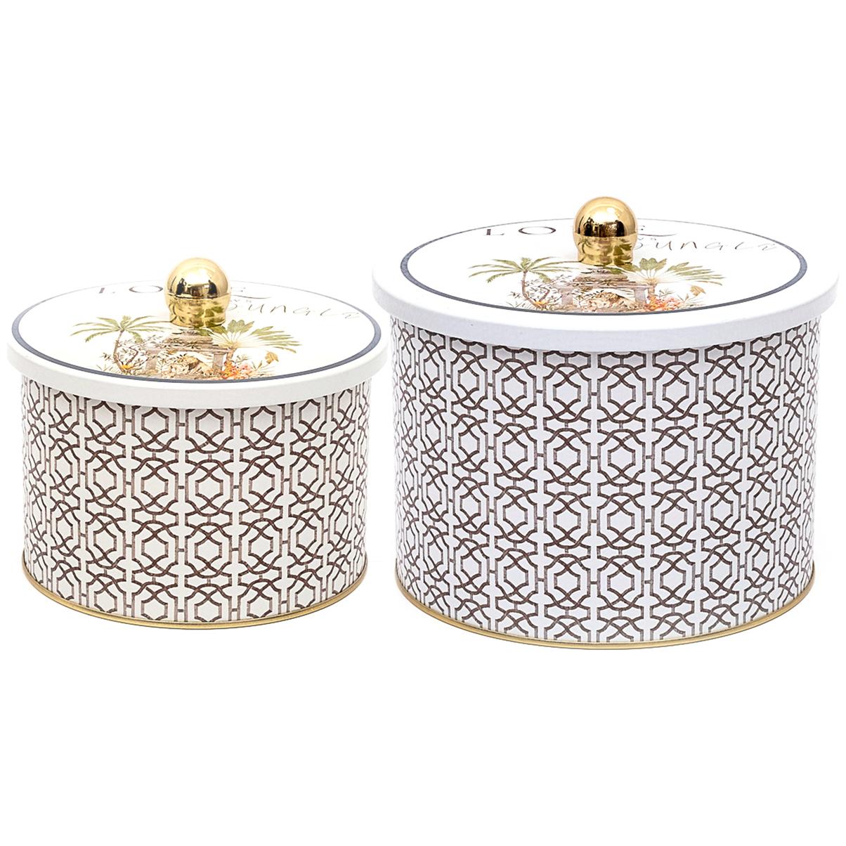 Round Metal Tin Box Set Ø175x155 -  Ø140x125  Knob Handle (Set of 2) Tropical Jungle – A Lush Paradise of Nature &amp; Wildlife Forrest Design